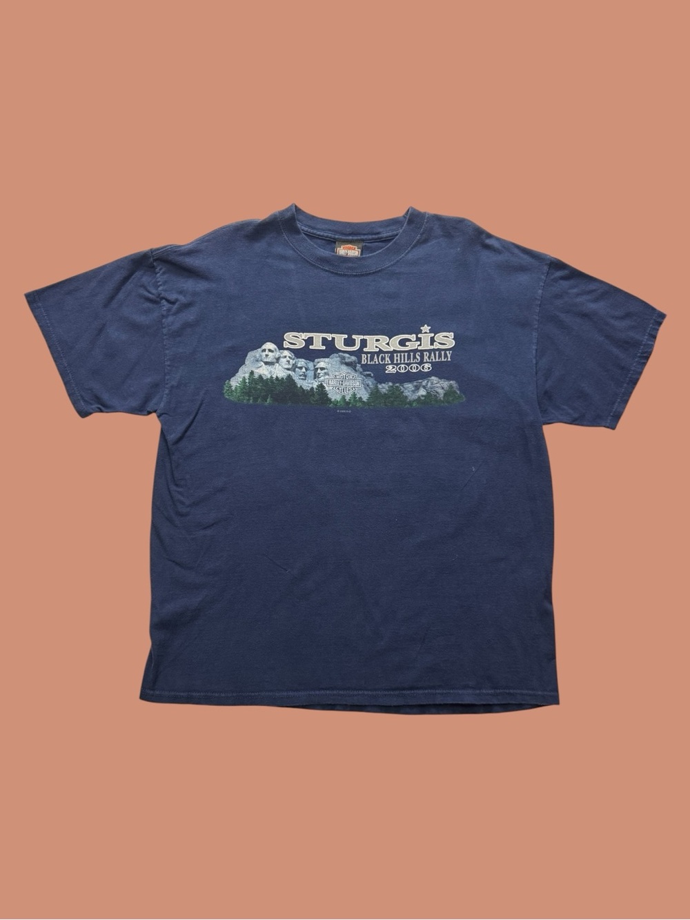 Harley-Davidson Vintage Y2K Sturgis Tee